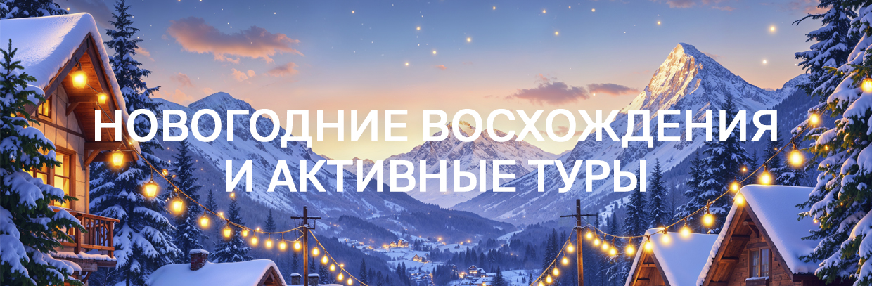 Новогодние программы